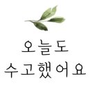 나오늘머리한다 이미지