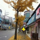 보한당한의원 네이버블로그