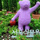 마곡롯데공인중개사사무소 이미지