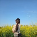 터치카페 동백점 | [26년 5월 일상] 맘스터치 핫치즈밤치킨, 광주 새로 오미자 파는 곳, 그놈의순대 후기 등