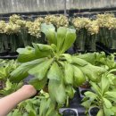 소이농장 이미지