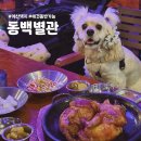 동백별관 | 인천 계양 애견동반 술집 | 계산택지 장작구이 맛집 &#39;동백별관&#39; 방문후기