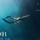 다이브플래닛 스쿠버 & 프리다이빙 네이버블로그