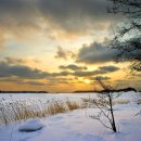 마음엔뜰 이미지