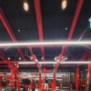 레드플렉스 짐 이미지