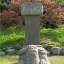 용주상사 | ◎ 지중추부사(知中樞府事) 전식(全湜)