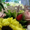 아띠플라워 이미지