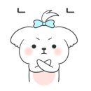 동동 애견 미용 이미지