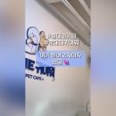 더귀여워 네이버블로그