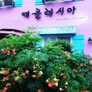 에클레시아의아침 이미지