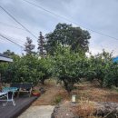 저지1521 이미지