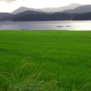 춘하추동 이미지