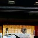 용수식당 이미지