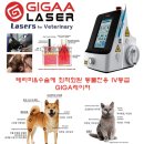 송정동물메디컬센터 이미지