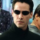 도그스타 이미지