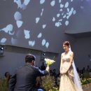 드레스가든 본식 스냅(2인) 그레이스케일 보정본 앨범 후기 꿀팁 사진 많음 주의