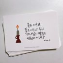 제이조이플 이미지