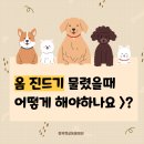 청북햇살 동물병원 이미지