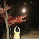 에너벨리 이미지