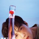 선호하다 OSEN