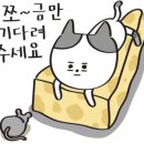 응급실국물떡볶이광주 이미지