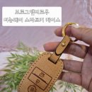 [스마트키케이스] 기아자동차 더뉴레이 브로그앤머로우스마트키케이스 후기