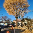 거제면사무소 주차장 이미지