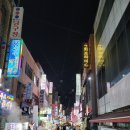 팔팔비단잉어 | [부산 남포동] '해전곱창'에서 곱창전골로 2차 하고 '꼬마김밥' 분식으로 3차까지