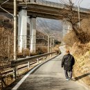 소백산자락길 제5코스 이미지