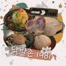 닭발존 1981 강남구청역 회식하기 좋은 포차 추천