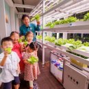 마포농장 이미지