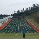 안성시사계절썰매장 이미지