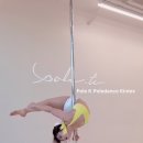 폴케이아카데미 이미지