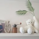 데일리 키친랩 이미지