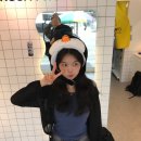 인싸포토강원 이미지