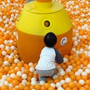 화정공원 | 일산키즈카페 화정 아이킹 주차 음식 메뉴 5세 종일권 후기