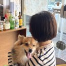 유림프라자 | 상동역 미용실 보그헤어 상동점 단발컷 유림부원장님 추천후기