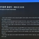 우강평야1로 이미지