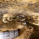 온평동로 이미지