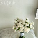 차리플라워 이미지