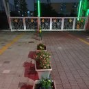 미목 이미지