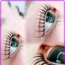 다인뷰티 이미지