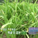 만월상 Daum카페