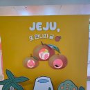 나그네야식 | [경주여행 2박 3일] 제주에서 출발 ! 경주 1일차 알찬 여행 코스 / 교촌마을+첨성대+월정교+야간시티...