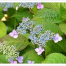 아해뜰어린이집 이미지