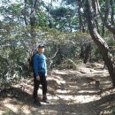 오르다 보면 이미지