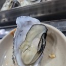 굴사냥 이미지