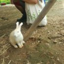 한땀목장 이미지