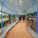 봉오대로 이미지