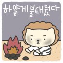 해솔태권도 이미지
